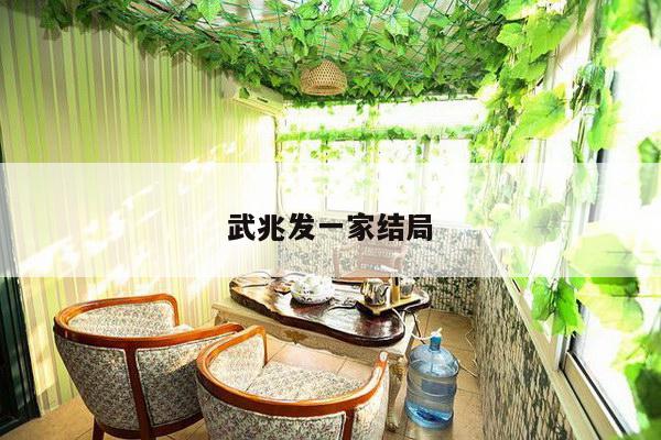 武兆发一家结局