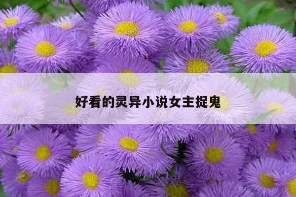 好看的灵异小说女主捉鬼