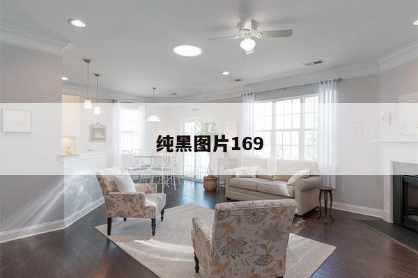 纯黑图片169