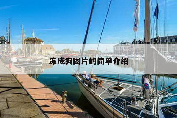 冻成狗图片的简单介绍