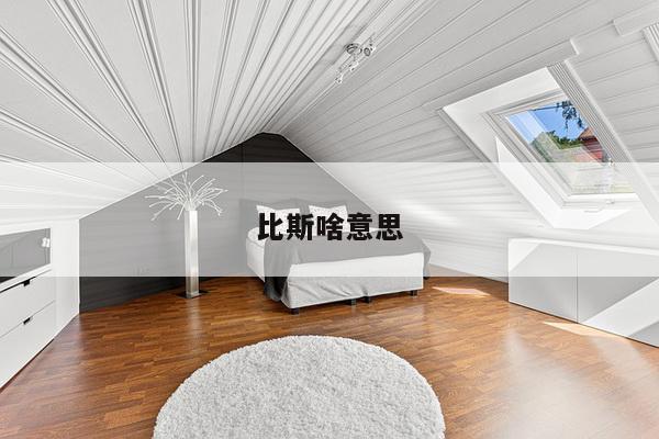 比斯啥意思