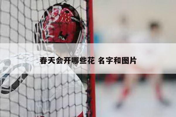 春天会开哪些花 名字和图片