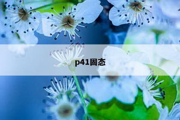 p41固态