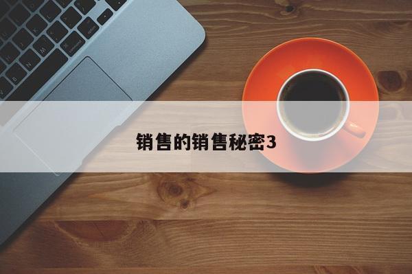 销售的销售秘密3