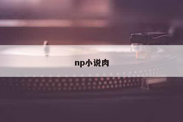 np小说肉
