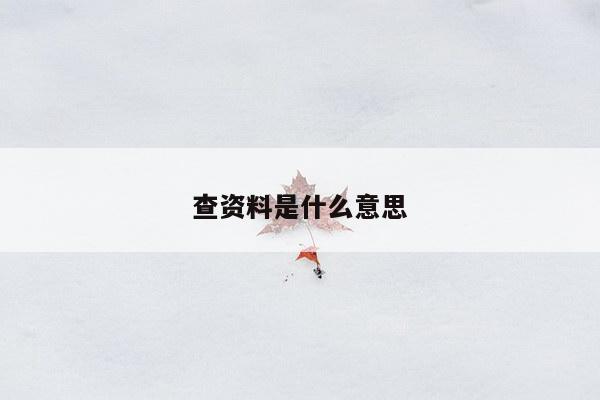 查资料是什么意思