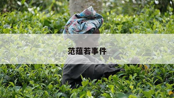 范蕴若事件