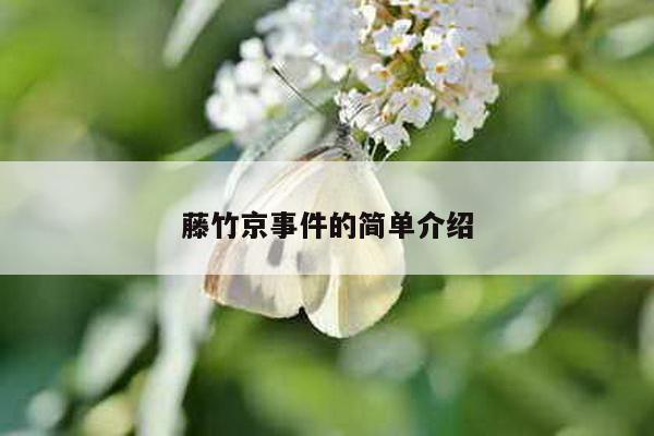 藤竹京事件的简单介绍