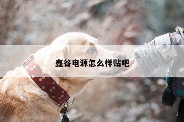鑫谷电源怎么样贴吧