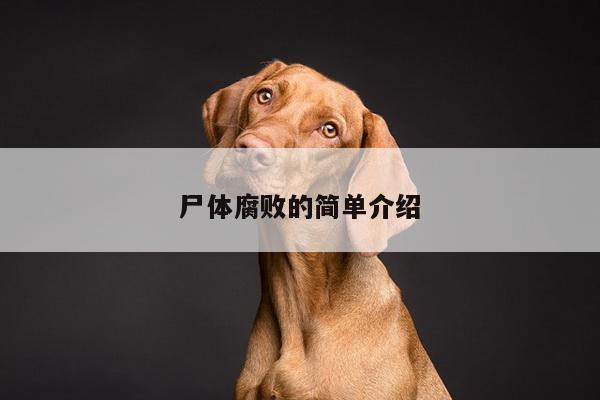 尸体腐败的简单介绍