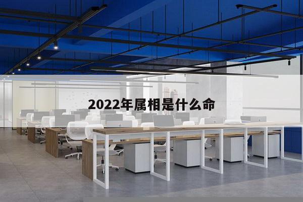 2022年属相是什么命