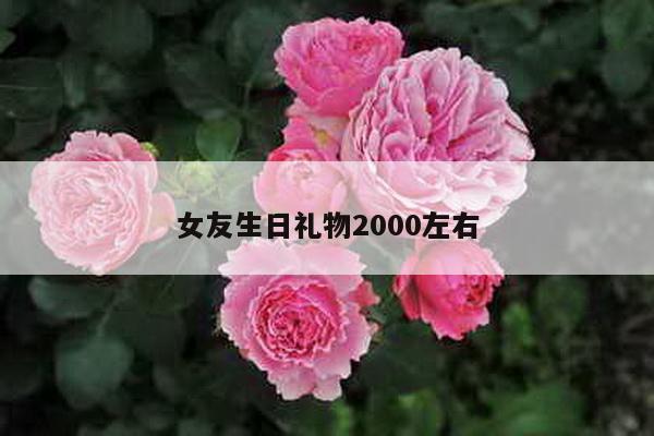 女友生日礼物2000左右