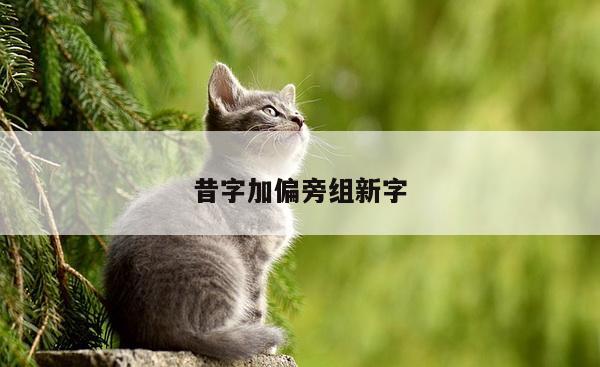 昔字加偏旁组新字