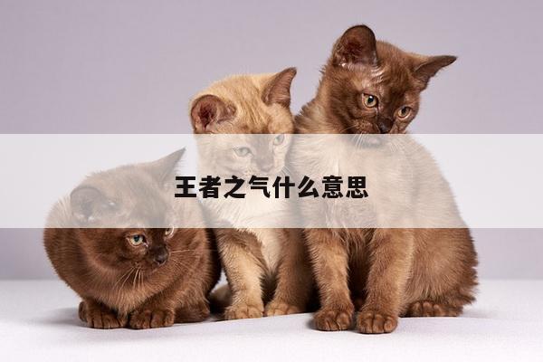 王者之气什么意思