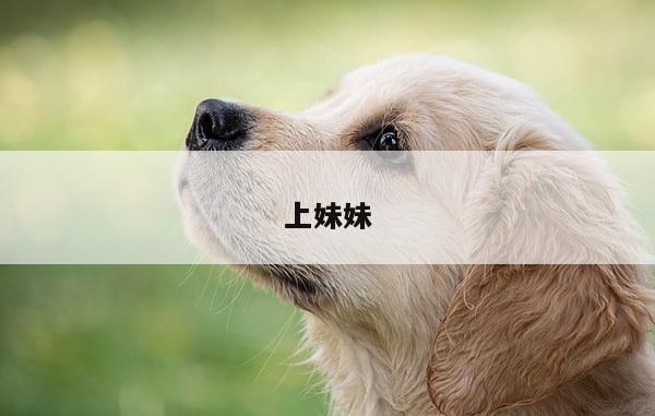 上妹妹