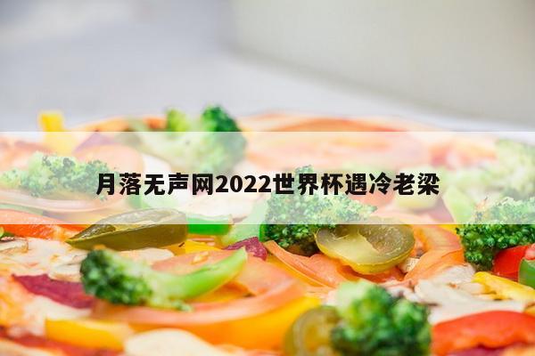 月落无声网2022世界杯遇冷老梁