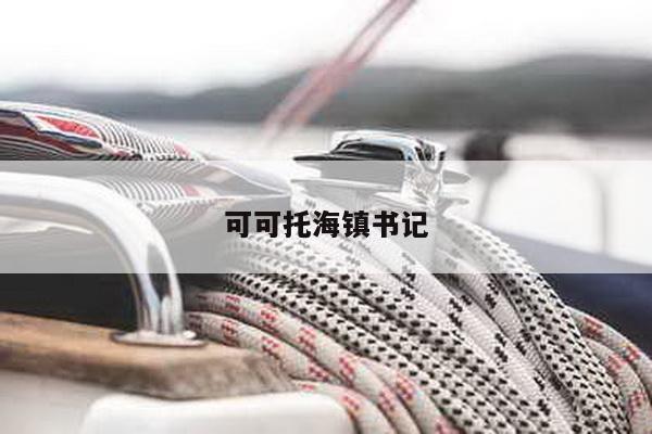 可可托海镇书记