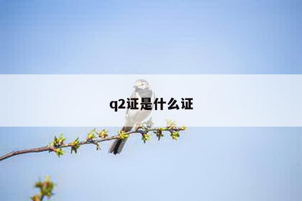 q2证是什么证