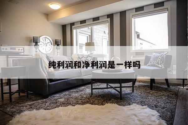 纯利润和净利润是一样吗