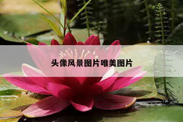 头像风景图片唯美图片