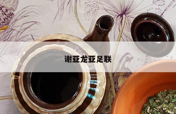 谢亚龙亚足联