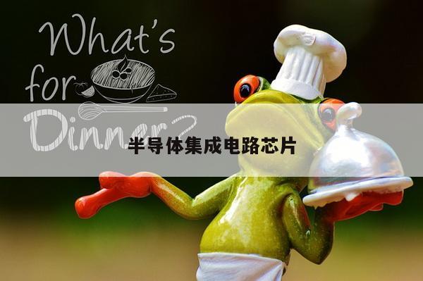 半导体集成电路芯片