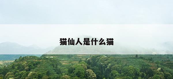 猫仙人是什么猫