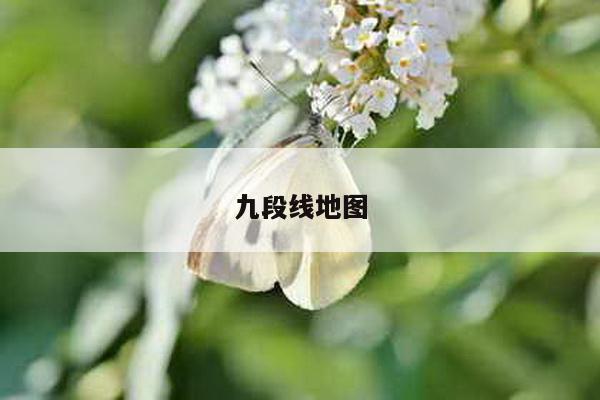 九段线地图