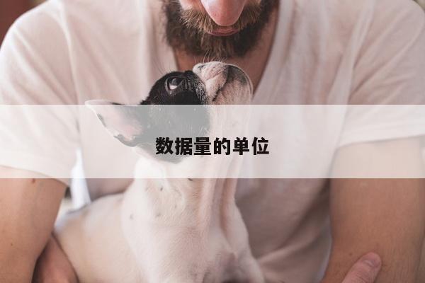 数据量的单位