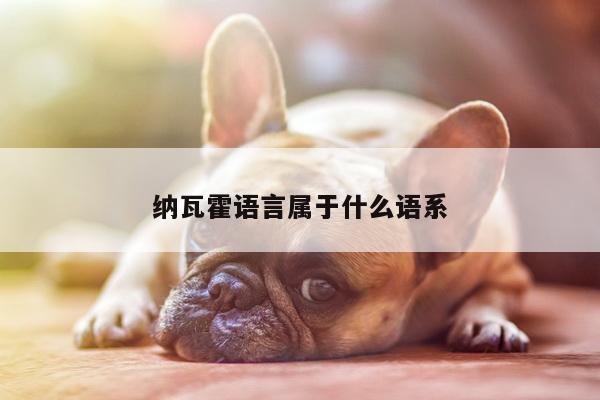 纳瓦霍语言属于什么语系