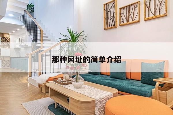 那种网址的简单介绍