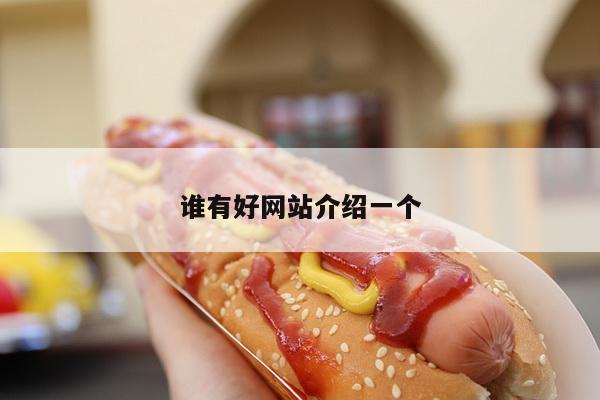 谁有好网站介绍一个