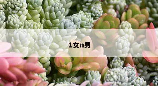 1女n男