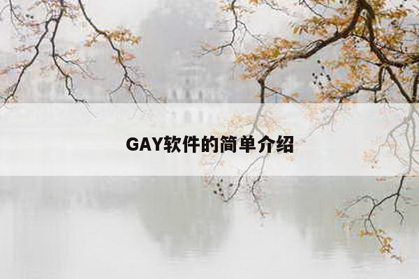 GAY软件的简单介绍