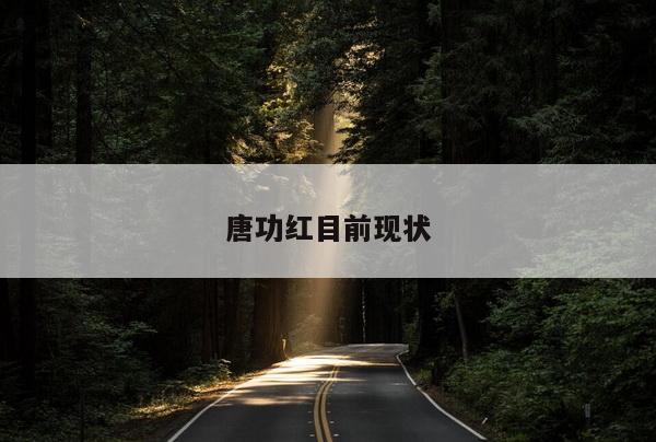唐功红目前现状