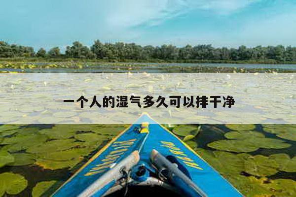 一个人的湿气多久可以排干净