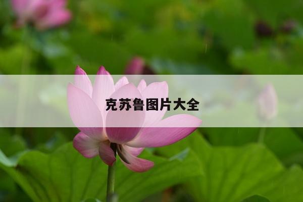 克苏鲁图片大全