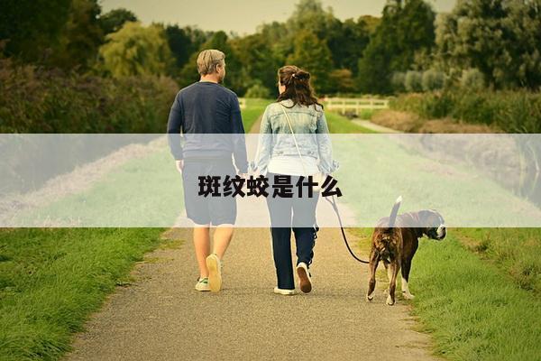 斑纹蛟是什么