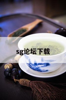 sg论坛下载