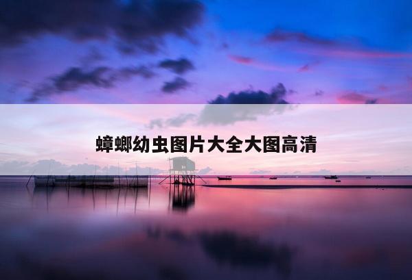 蟑螂幼虫图片大全大图高清