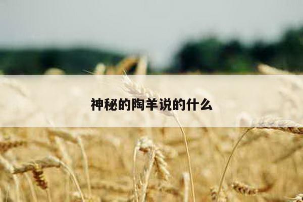 神秘的陶羊说的什么