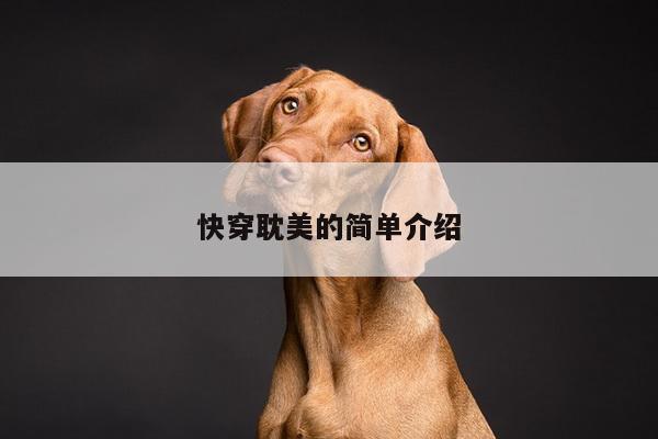 快穿耽美的简单介绍