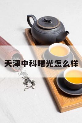 天津中科曙光怎么样