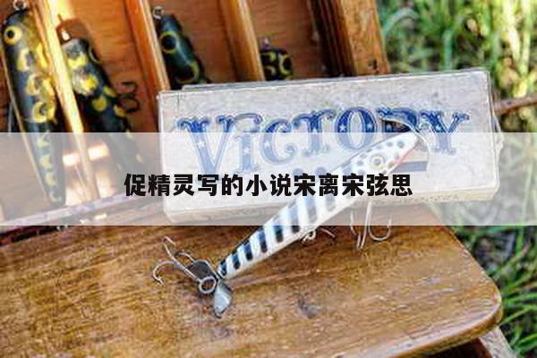 促精灵写的小说宋离宋弦思