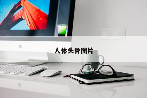 人体头骨图片