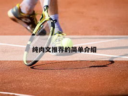 纯肉文推荐的简单介绍