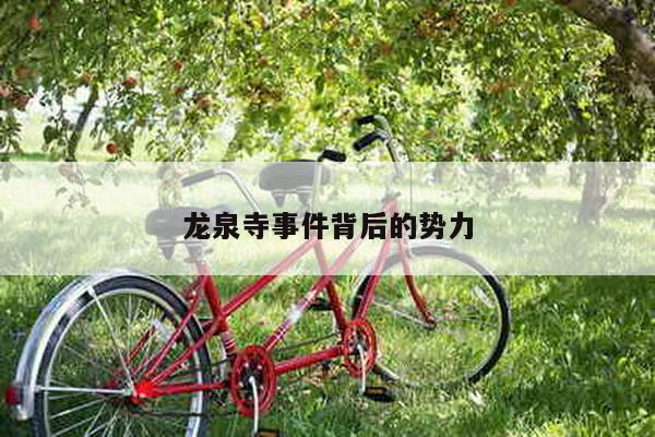 龙泉寺事件背后的势力