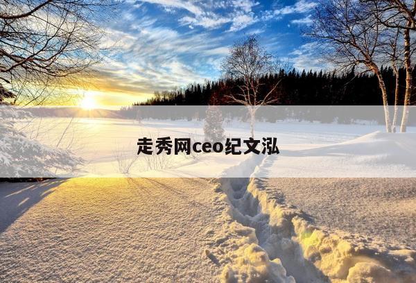 走秀网ceo纪文泓