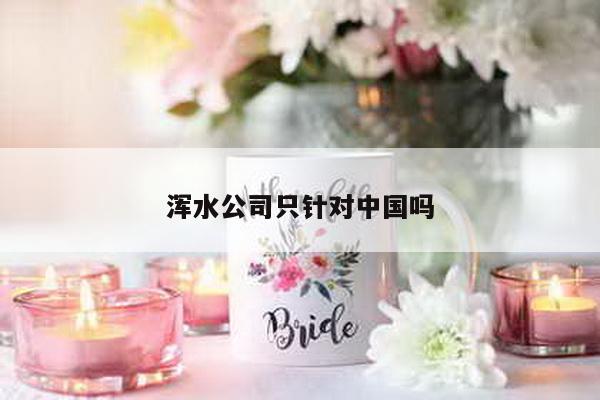 浑水公司只针对中国吗