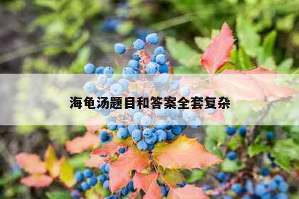 海龟汤题目和答案全套复杂